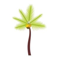 palm butie capitata icoon, vlak stijl vector