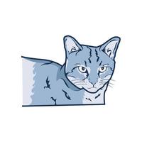 kat vector portret illustratie met wit achtergrond