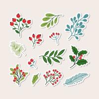 winter bloemen bladeren en bessen sticker verzameling vector