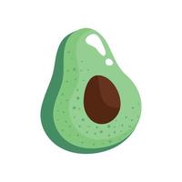 verse avocado groente vector