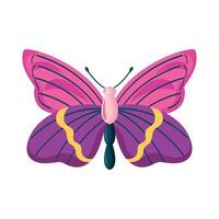 roze en Purper vlinder insect vector