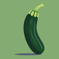 courgette groen gezond vlak vector illustratie. veganistisch voedsel voor fabriek eetpatroon.