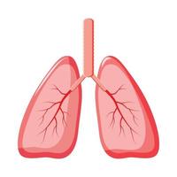 menselijk longen icoon in tekenfilm stijl vector