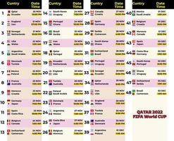 qatar wereld kop 2022 armaturen, qatar wereld kop 2022 schema vector