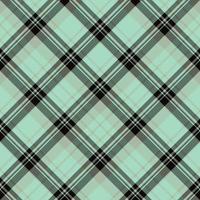 naadloos patroon in mooi zwart en licht groen kleuren voor plaid, kleding stof, textiel, kleren, tafelkleed en andere dingen. vector afbeelding. 2