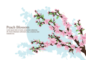 Peach Blossom Vector Illustration