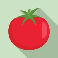 rauw tomaat icoon, vlak stijl vector