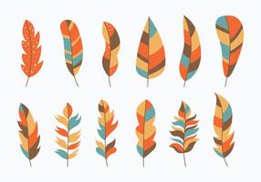 Pluma Collection vector