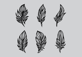 Feather Vector