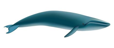 blauw walvis model, realistisch stijl vector