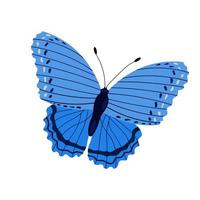 single kleurrijk vlinder geïsoleerd Aan wit achtergrond. exotisch tropisch insect met helder Vleugels en antennes. vector
