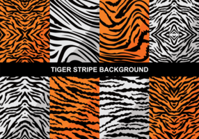 Tiger Achtergrond van de Streep vector