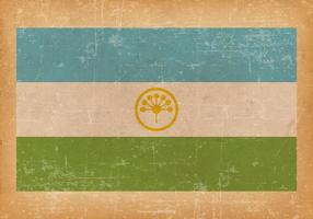 Vlag Grunge van Bashkortostan vector