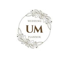 um initialen brief bruiloft monogram logos verzameling, hand- getrokken modern minimalistisch en bloemen Sjablonen voor uitnodiging kaarten, opslaan de datum, elegant identiteit voor restaurant, boetiek, cafe in vector