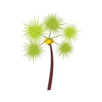 palm chamaerops icoon, vlak stijl vector