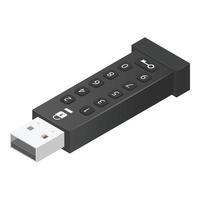 wachtwoord USB flash icoon, isometrische stijl vector