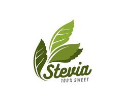stevia bladeren natuurlijk zoetstof groen gemakkelijk icoon vector