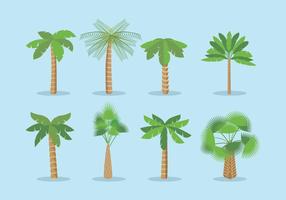 Palmetto vector