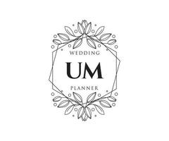 um initialen brief bruiloft monogram logos verzameling, hand- getrokken modern minimalistisch en bloemen Sjablonen voor uitnodiging kaarten, opslaan de datum, elegant identiteit voor restaurant, boetiek, cafe in vector