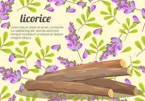 Licorice Root En Bloem Vector