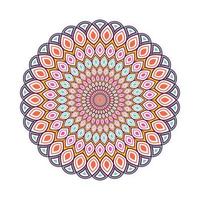 kleurrijke mandala met bloemenornament vector