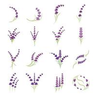 lavendel logo sjabloon vector symbool natuur