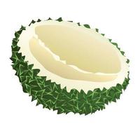 Borneo durian icoon, tekenfilm stijl vector