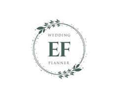 ef initialen brief bruiloft monogram logos verzameling, hand- getrokken modern minimalistisch en bloemen Sjablonen voor uitnodiging kaarten, opslaan de datum, elegant identiteit voor restaurant, boetiek, cafe in vector