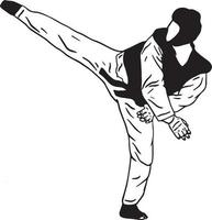 karate taekwondo krijgshaftig kunst vector icoon logo