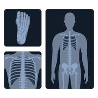 medisch radiologie. verschillend röntgenstraal of radiografisch afbeeldingen van menselijk lichaam botten en onderdelen vector