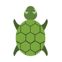 schildpad dier vector illustratie icoon beeld