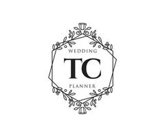 tc initialen brief bruiloft monogram logos verzameling, hand- getrokken modern minimalistisch en bloemen Sjablonen voor uitnodiging kaarten, opslaan de datum, elegant identiteit voor restaurant, boetiek, cafe in vector