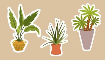 huis planten stickers. reeks van hygge tropisch patee sappig planten stickers. knus lagom stijl verzameling van planten in tekenfilm stijl. hand- trek vector bundel.