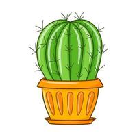 vector tekenfilm cactus in pot. binnen- sappig fabriek met doornen. cactussen voor huis en interieur. kleurrijk botanisch tekening illustratie geïsoleerd Aan wit achtergrond.