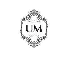 um initialen brief bruiloft monogram logos verzameling, hand- getrokken modern minimalistisch en bloemen Sjablonen voor uitnodiging kaarten, opslaan de datum, elegant identiteit voor restaurant, boetiek, cafe in vector