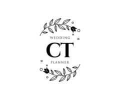 ct initialen brief bruiloft monogram logos verzameling, hand- getrokken modern minimalistisch en bloemen Sjablonen voor uitnodiging kaarten, opslaan de datum, elegant identiteit voor restaurant, boetiek, cafe in vector