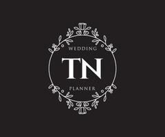 tn initialen brief bruiloft monogram logos verzameling, hand- getrokken modern minimalistisch en bloemen Sjablonen voor uitnodiging kaarten, opslaan de datum, elegant identiteit voor restaurant, boetiek, cafe in vector