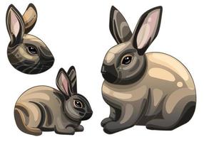 een reeks van tekenfilm getrokken dieren. ras van konijnen Amerikaans sable konijn vector