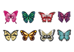 Mariposa Vectors