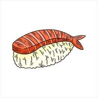 ebi sushi of garnaal Aan rijst- hand- getrokken illustratie vector