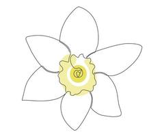 de narcis bloem is hand getekend in een minimalistische stijl, in de techniek van een single lijn, een monolijn. schoonheidsmiddelen symbool, schoonheid salon logo vector