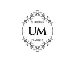 um initialen brief bruiloft monogram logos verzameling, hand- getrokken modern minimalistisch en bloemen Sjablonen voor uitnodiging kaarten, opslaan de datum, elegant identiteit voor restaurant, boetiek, cafe in vector