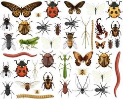 verschillende insecten collectie geïsoleerd op een witte achtergrond vector