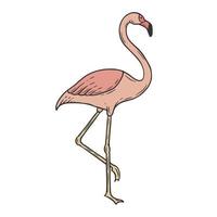 flamingo hand- getrokken tekening vector illustratie