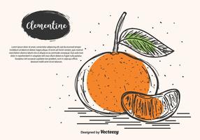 Hand getekende clementine vector achtergrond