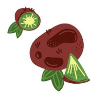 kiwi fruit. geheel, voor de helft en plak kiwi met bladeren. vector