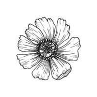 bloem lijn hand- getrokken vector illustratie geïsoleerd Aan wit achtergrond. geïsoleerd vector element.
