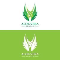 aloë vera logo, Gezondheid blad vector, ontwerp geschikt voor schoonheid salon, biologisch recyclen, huid Gezondheid blad vector