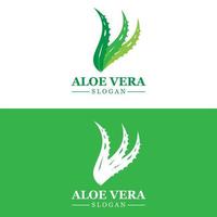 aloë vera logo, Gezondheid blad vector, ontwerp geschikt voor schoonheid salon, biologisch recyclen, huid Gezondheid blad vector