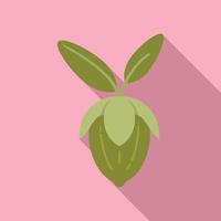 jojoba blad icoon vlak vector. aroma kruid vector